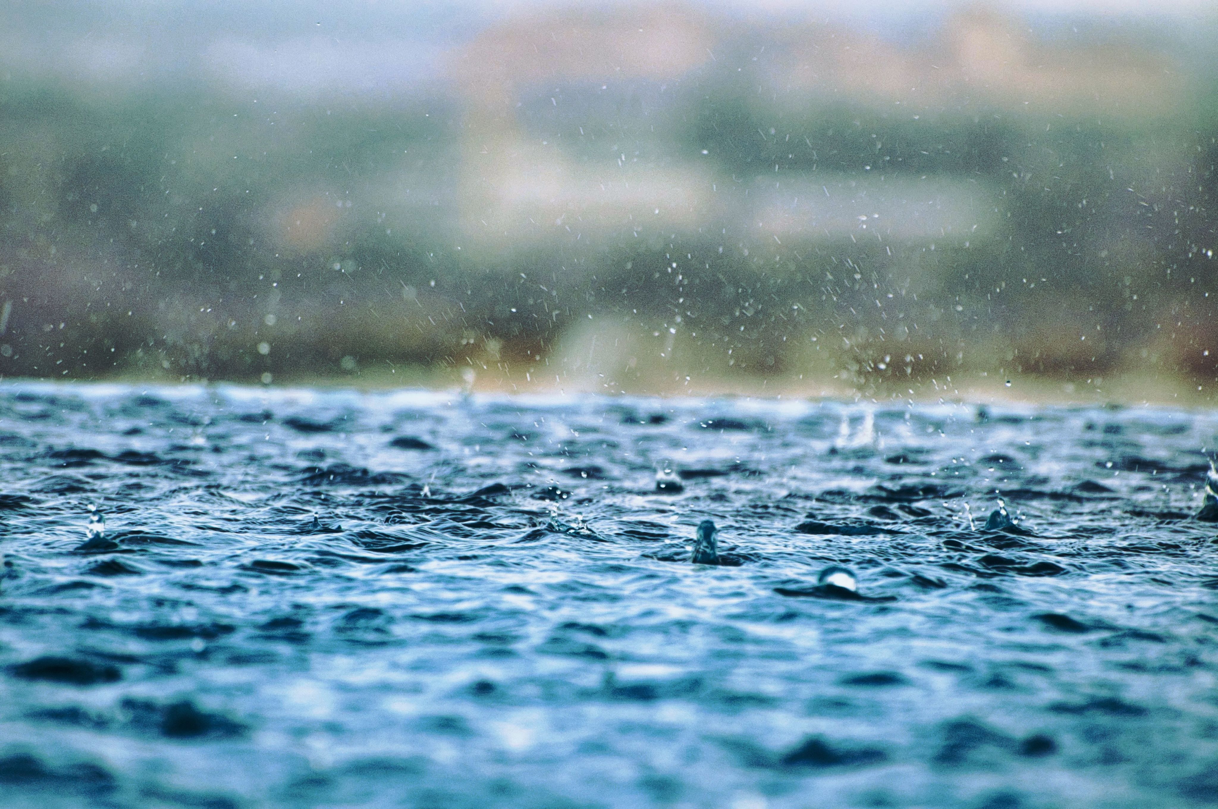 closeup photography of water drops on body of water